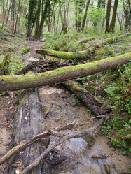 Similar image 129745