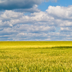 Similar image 129784