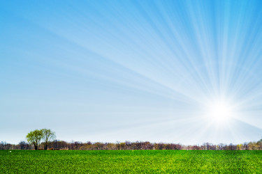 Similar image 129789