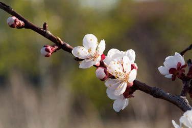 Similar image 129796