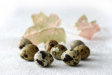 Similar image 129917