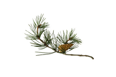 Similar image 129921