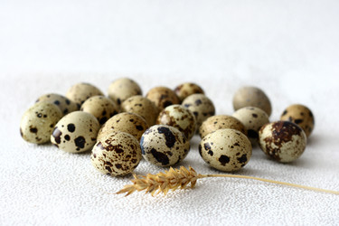 Similar image 129922