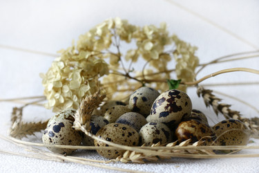 Similar image 129940