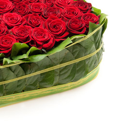 Similar image 129950