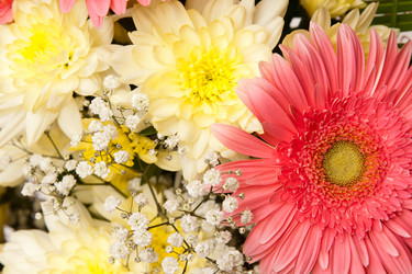 Similar image 129953