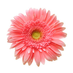 Similar image 129955