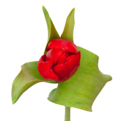 Similar image 129957