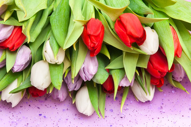 Similar image 129958