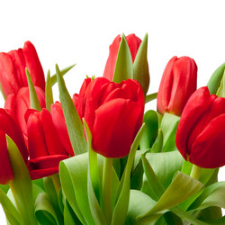 Similar image 129960