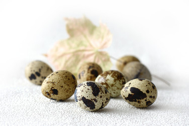 Similar image 129965