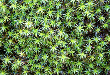 Similar image 129975