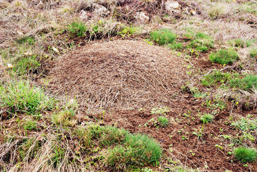 Similar image 129983