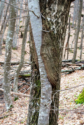 Similar image 129984