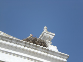 Similar image 130087