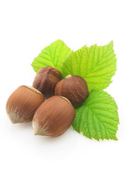 Similar image 130139