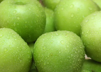 Similar image 130179