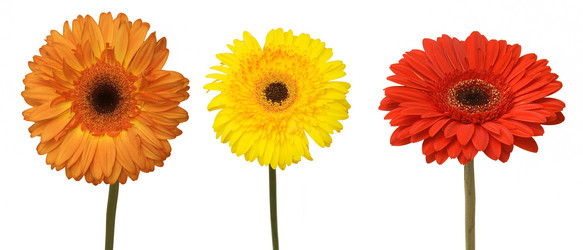 Similar image 130186