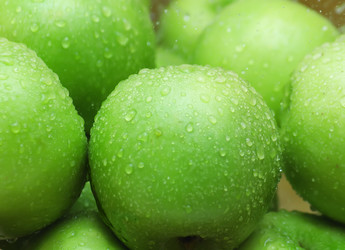 Similar image 130187