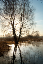 Similar image 130211