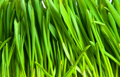 Similar image 130216