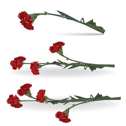 Similar image 130266