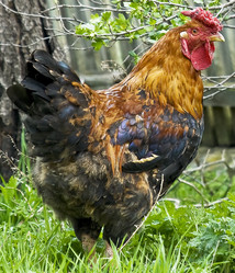 Similar image 130268