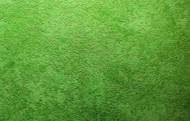 Similar image 130271