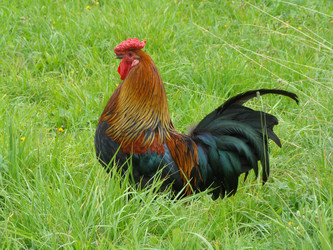 Similar image 130272