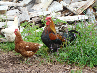 Similar image 130275