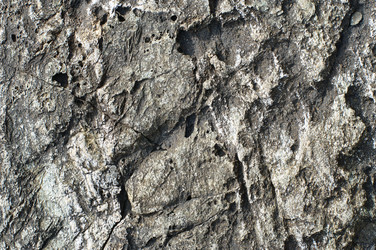 Similar image 130290