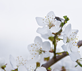 Similar image 130298