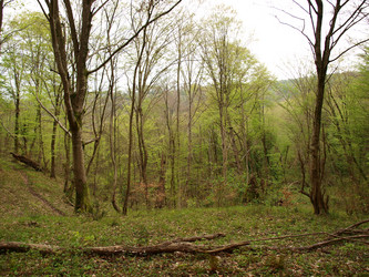 Similar image 130320