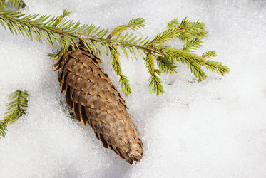 Similar image 130325