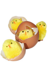 Similar image 130326