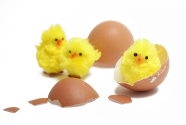 Similar image 130339