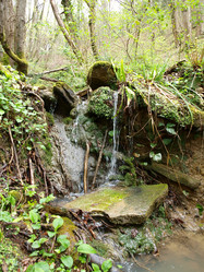 Similar image 130348