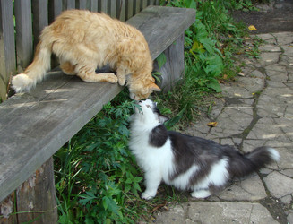 Similar image 130353