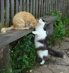 Similar image 130354