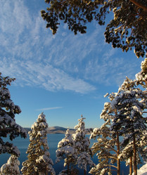 Similar image 130372