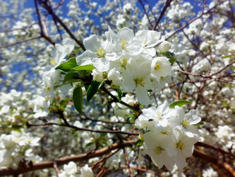 Similar image 130384