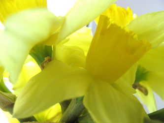 Similar image 130403