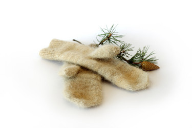 Similar image 130444