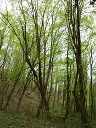 Similar image 130496