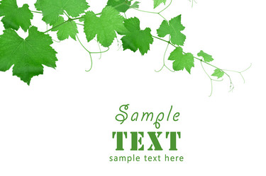 Similar image 130537