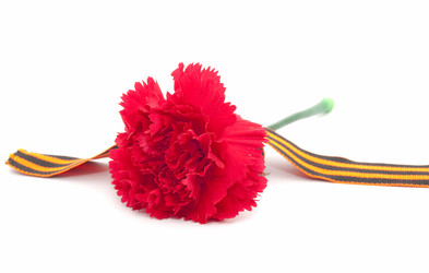 Similar image 130540