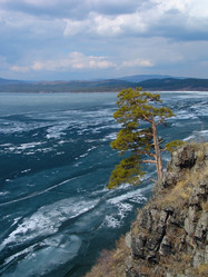 Similar image 130547