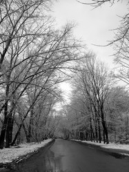 Similar image 130555