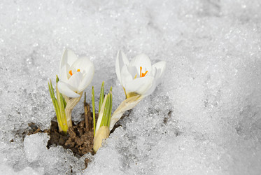 Similar image 130582