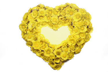 Similar image 130586